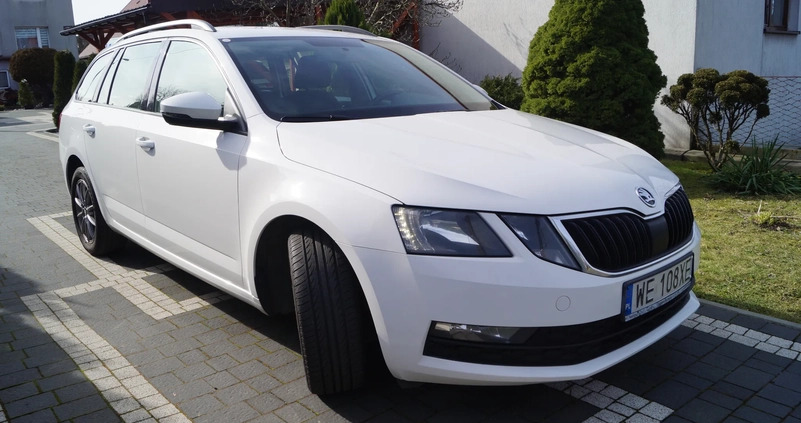 Skoda Octavia cena 44500 przebieg: 172880, rok produkcji 2019 z Sosnowiec małe 781